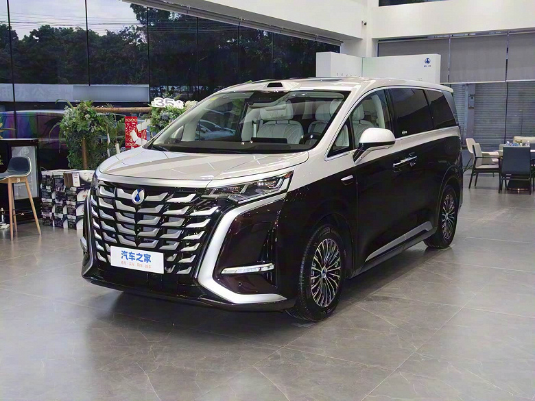 Denzas Minivan Milestone