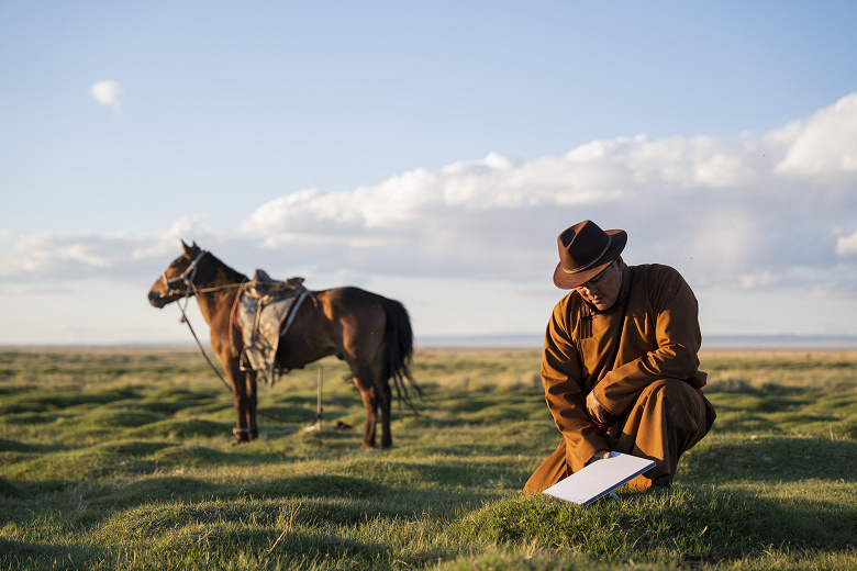 Starlinks Price Cuts