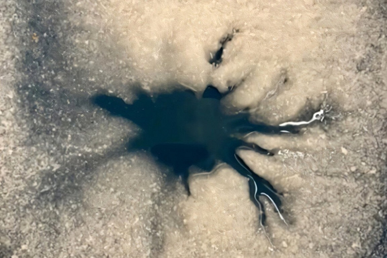 Europas Spider Structures