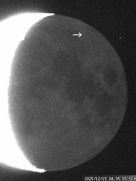 Meteor Shower Leaves