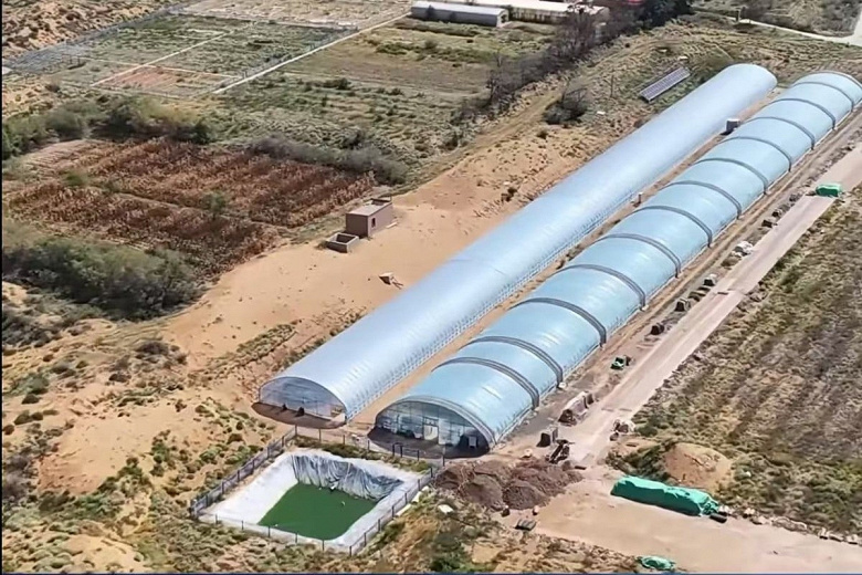 Cyanobacteria Transform Chinas