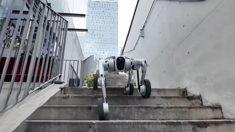 Pudu Robotics Pudu