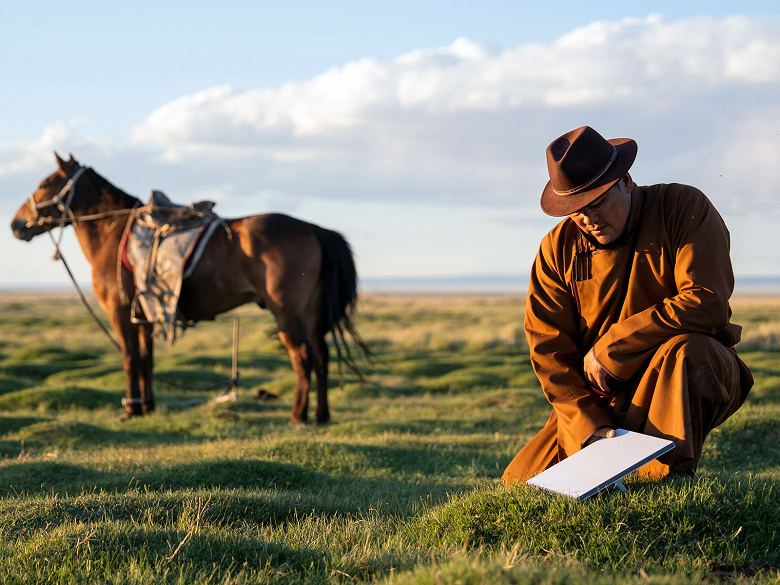 Starlink Narrows Options